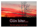 gun biter